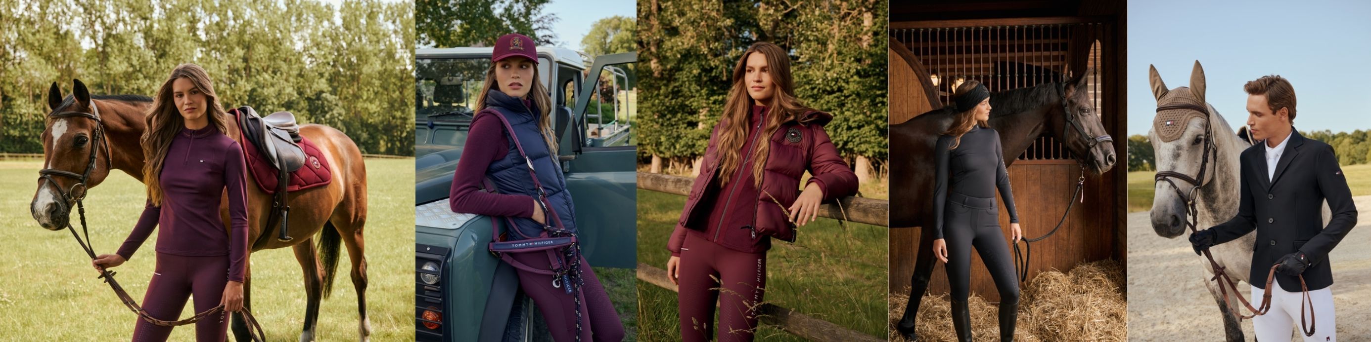 Tommy Equestrian